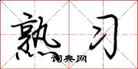 荆霄鹏熟习行书怎么写