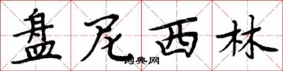 周炳元盘尼西林楷书怎么写