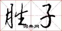 钱沛云胜子行书怎么写