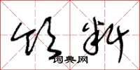 王冬龄领料草书怎么写