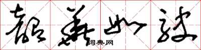 刘少英韶华如驶草书怎么写