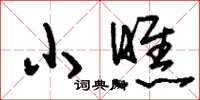刘少英小瞧草书怎么写