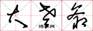 刘少英大老爷草书怎么写