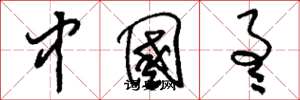 刘少英中国通草书怎么写