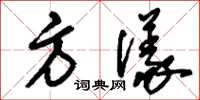 刘少英方仪草书怎么写