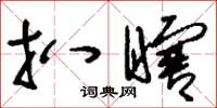 刘少英扒瞎草书怎么写