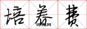 段相林培养费行书怎么写