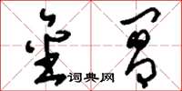 刘少英金阊草书怎么写