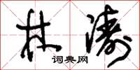 刘少英林涛草书怎么写