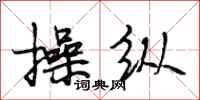 段相林操纵行书怎么写