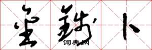 刘少英金钱卜草书怎么写
