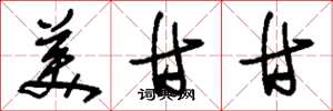 刘少英美甘甘草书怎么写