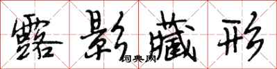 段相林露影藏形行书怎么写
