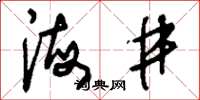 刘少英海井草书怎么写