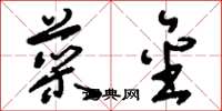 刘少英菜金草书怎么写