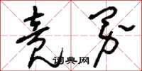 刘少英竟界草书怎么写