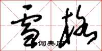 刘少英雪格草书怎么写