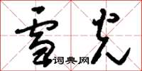 刘少英雪光草书怎么写