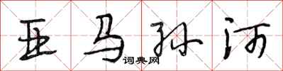 段相林亚马孙河行书怎么写