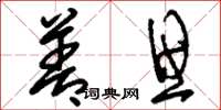 刘少英善思草书怎么写