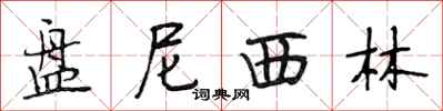 段相林盘尼西林行书怎么写