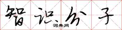 段相林智识分子行书怎么写