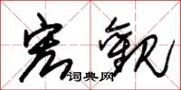 朱锡荣宏观草书怎么写