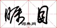 朱锡荣瞩目草书怎么写