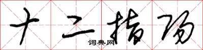 朱锡荣十二指阳草书怎么写