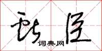 王冬龄献臣草书怎么写