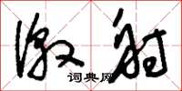 刘少英激射草书怎么写