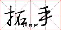段相林拓手行书怎么写