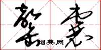 刘少英罄囊草书怎么写