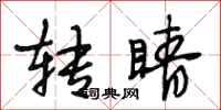 段相林转睛行书怎么写