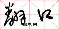 刘少英翻口草书怎么写
