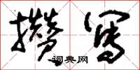 刘少英攒写草书怎么写