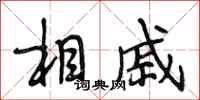 段相林相戚行书怎么写