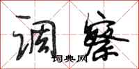 段相林调察行书怎么写