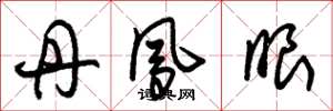 朱锡荣丹凤眼草书怎么写