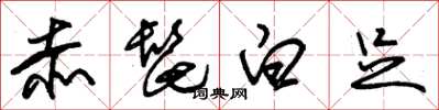 朱锡荣赤髭白足草书怎么写