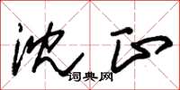 朱锡荣沈正草书怎么写