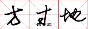 朱锡荣方寸地草书怎么写