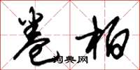 朱锡荣卷柏草书怎么写
