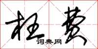 朱锡荣枉费草书怎么写