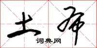 朱锡荣土布草书怎么写