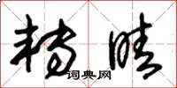 朱锡荣转睛草书怎么写