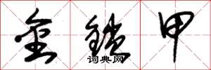 朱锡荣金锁甲草书怎么写