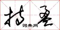 朱锡荣持盈草书怎么写