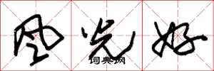 朱锡荣風光好草书怎么写
