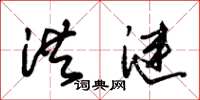朱锡荣洪涟草书怎么写